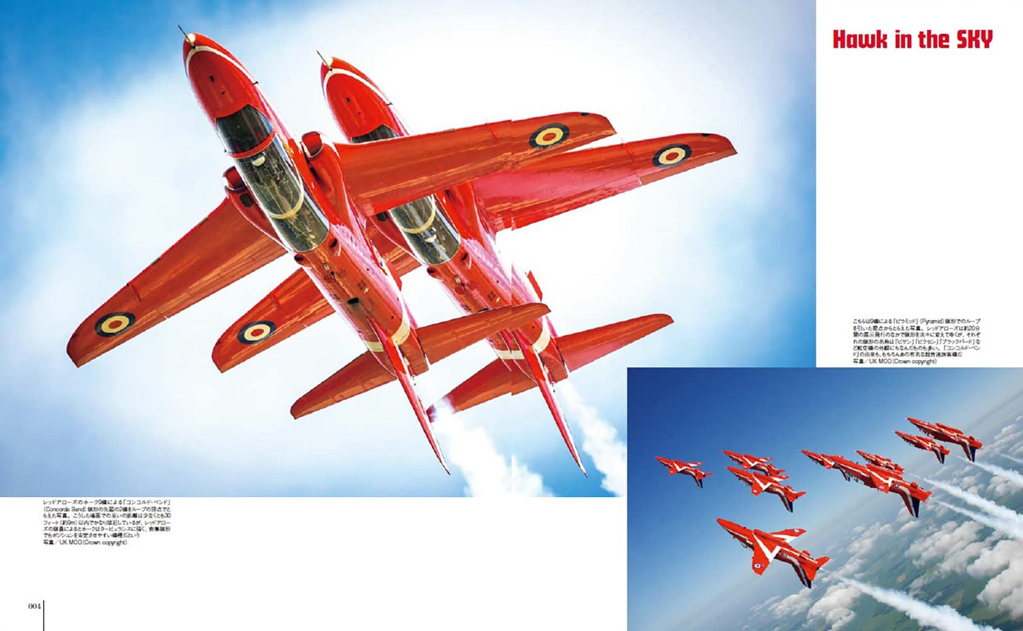 HAWK /ALPHA JET  Military Aircraft of the World