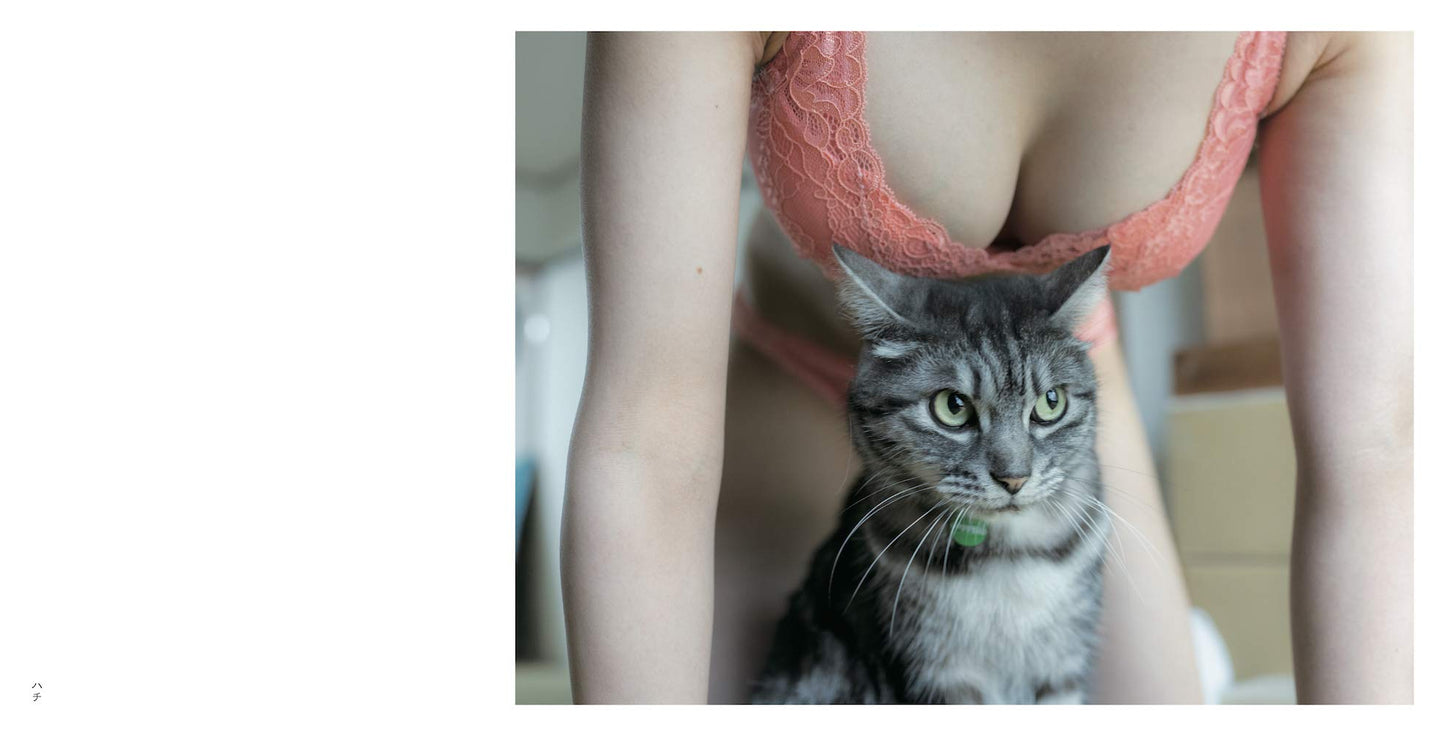 PaiPai nyan /Cat & Boobs Yuki Aoyama Photo Works
