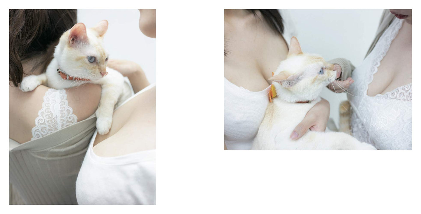 PaiPai nyan /Cat & Boobs Yuki Aoyama Photo Works