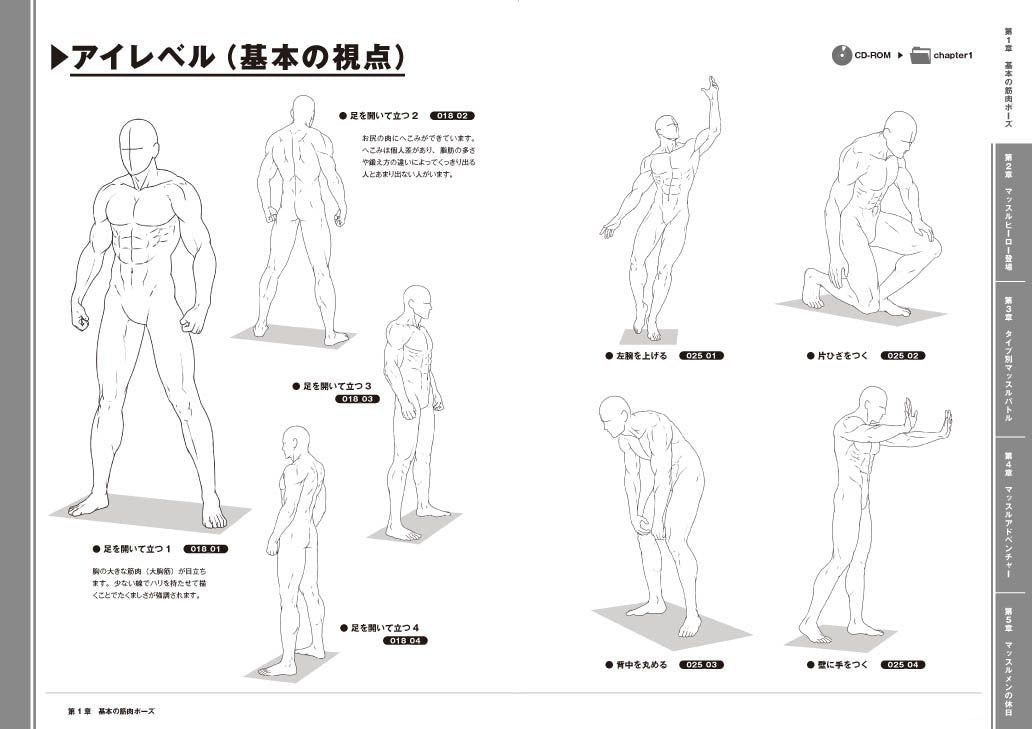500 Ready-to-Use Muscle Poses w/CD-ROM