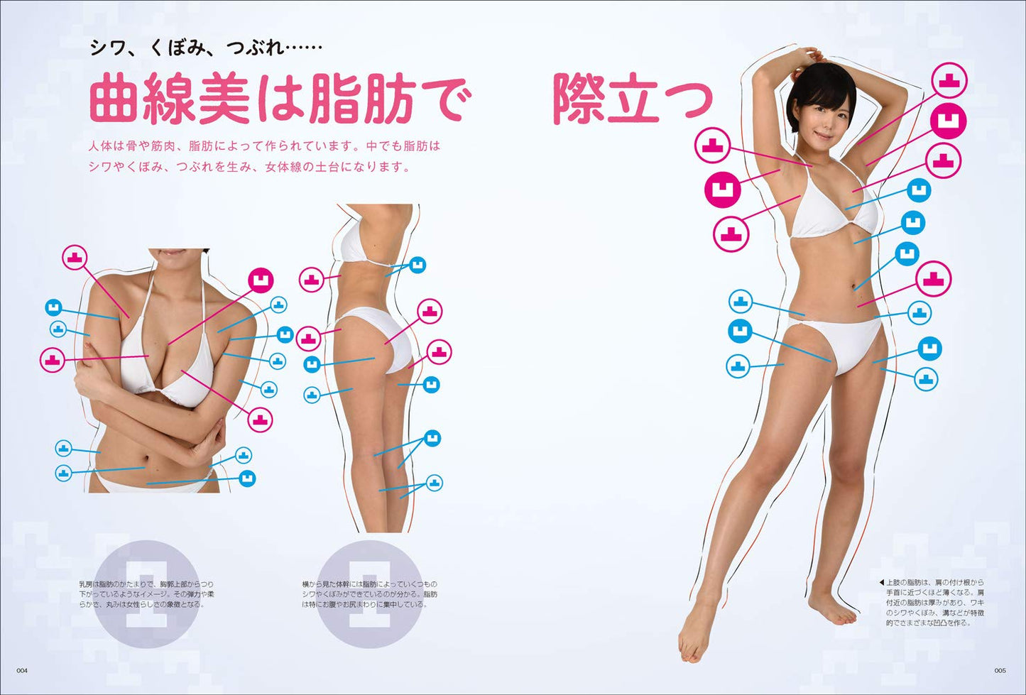 Encyclopedia of Female Character Body Curves