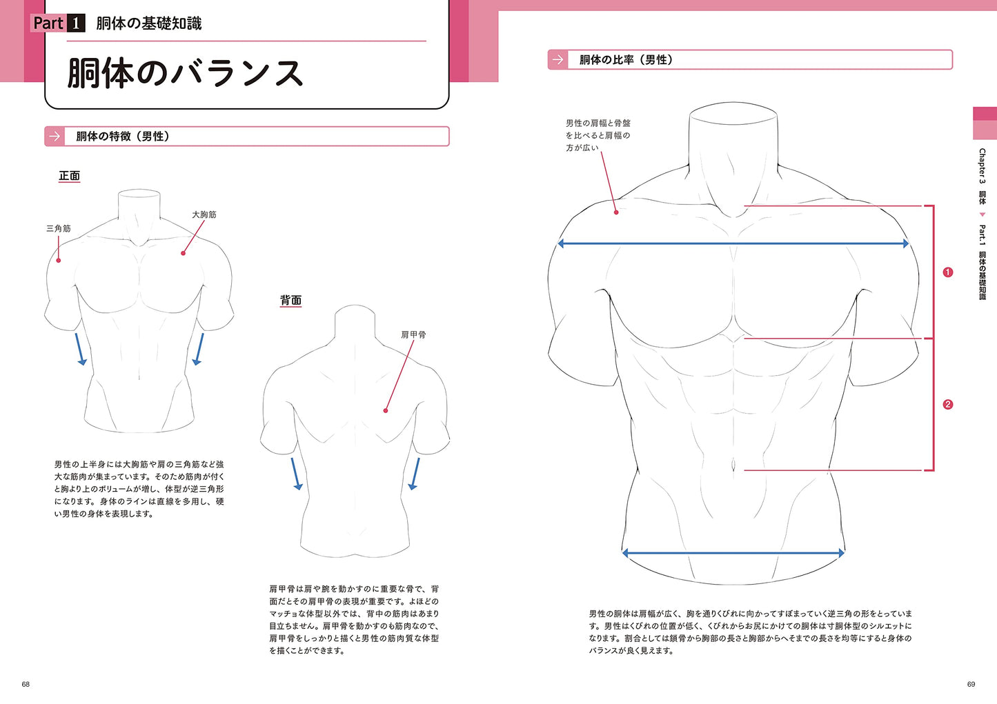 Create the best illustrations! How to draw an attractive "body"