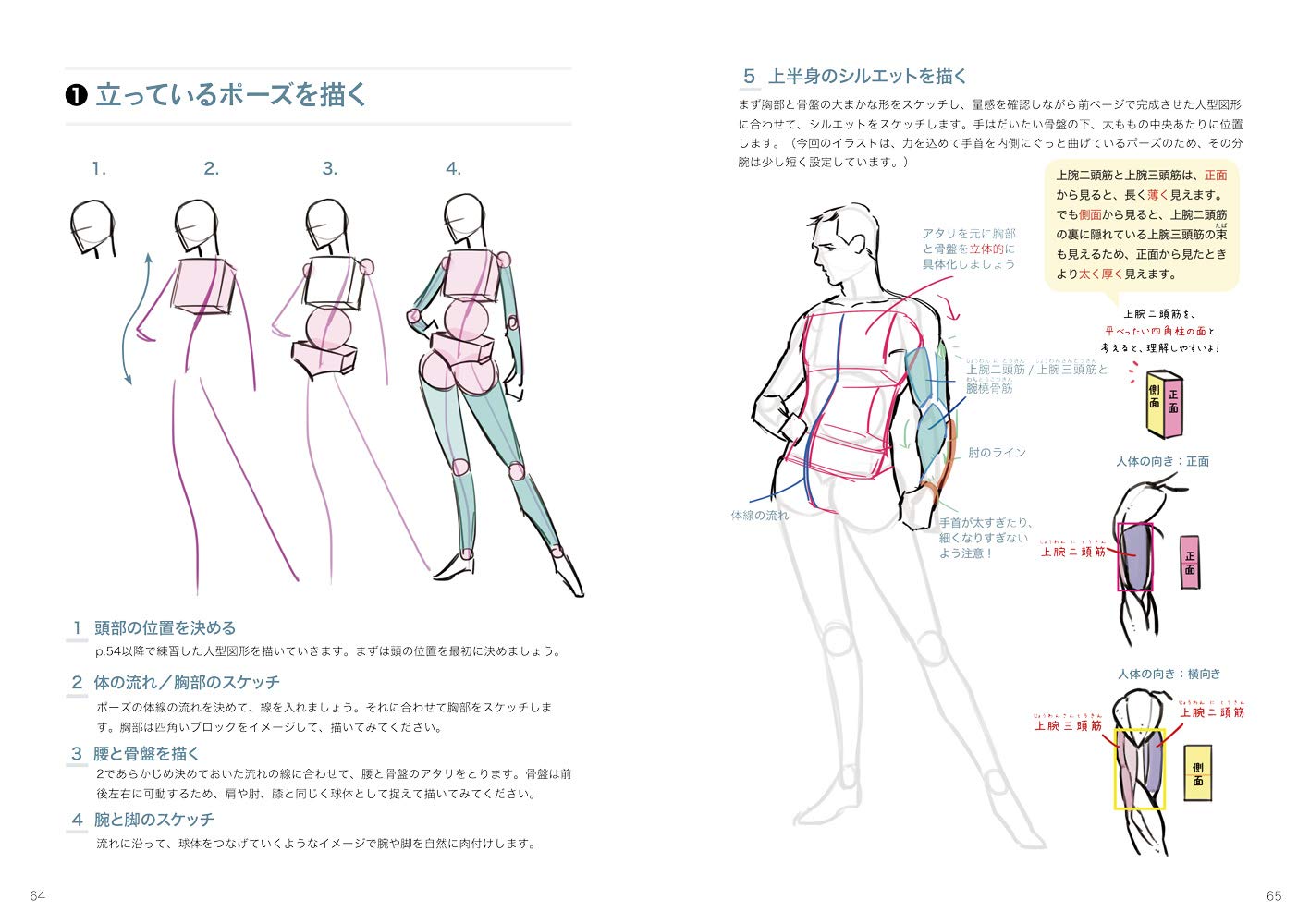 Hwo To Draw Muscle & Sexy Handsome Body