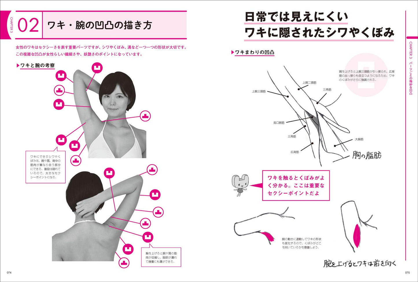 Encyclopedia of Female Character Body Curves
