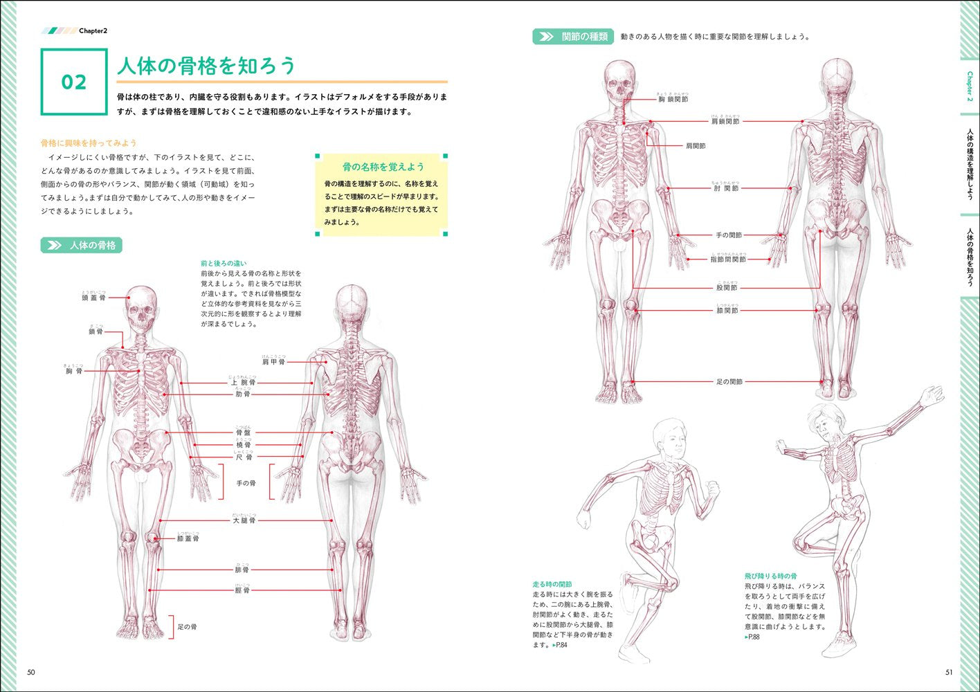 Character drawing skill improvement course