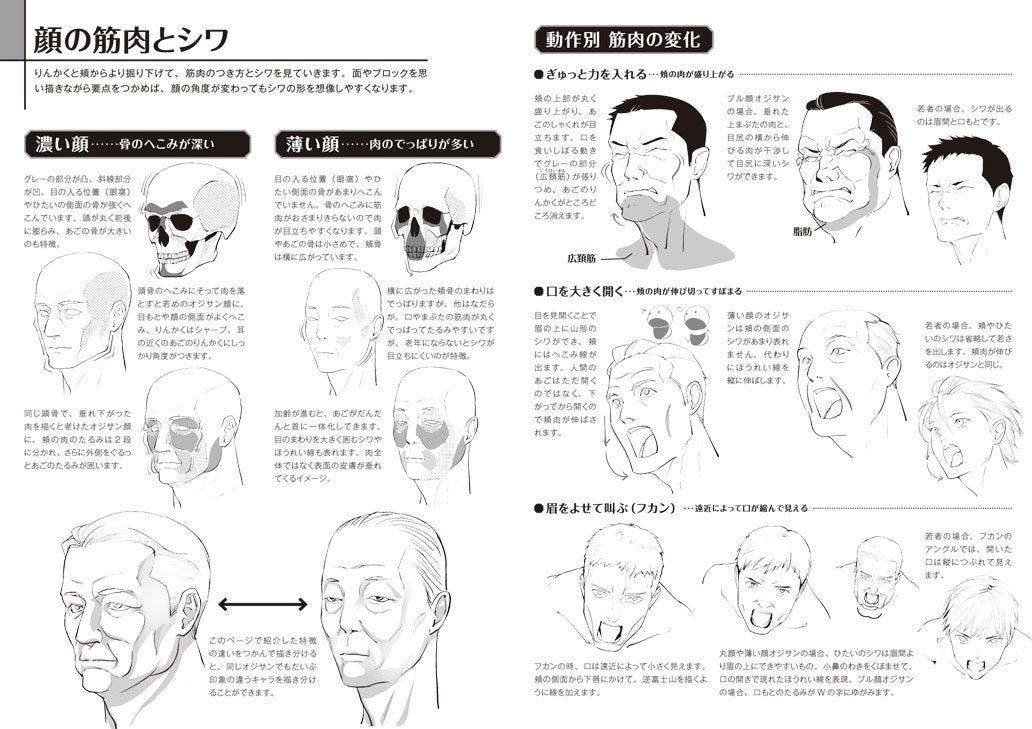 Middle Aged Man Drawing Techniques Face/Body