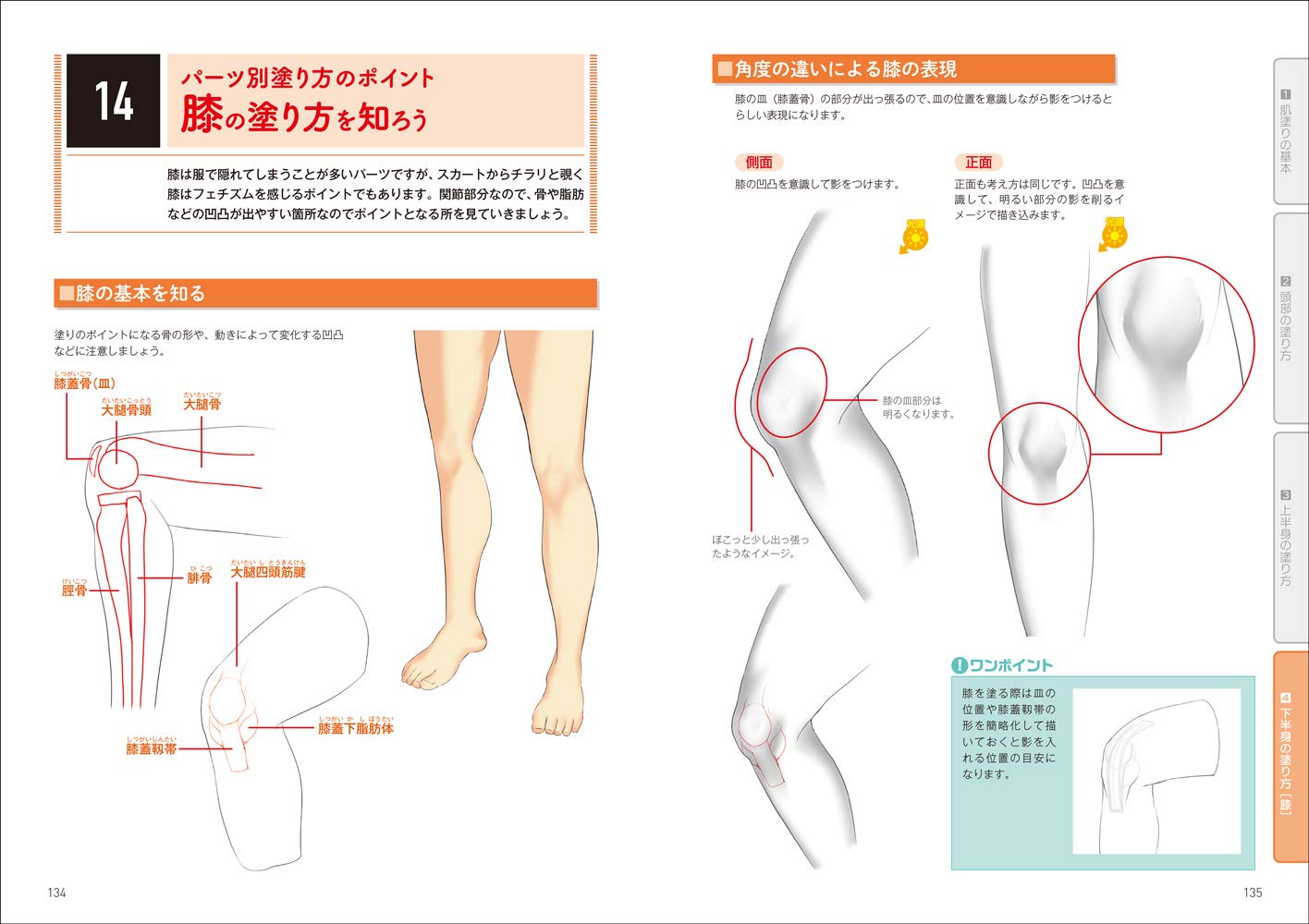 How To Paint Realistic Skin of a Bishoujo Illustration