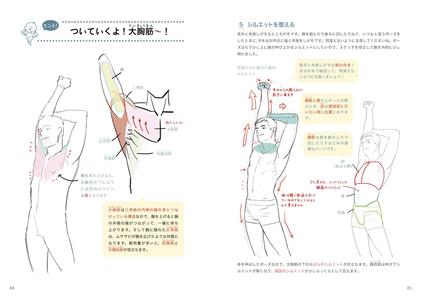 Hwo To Draw Muscle & Sexy Handsome Body