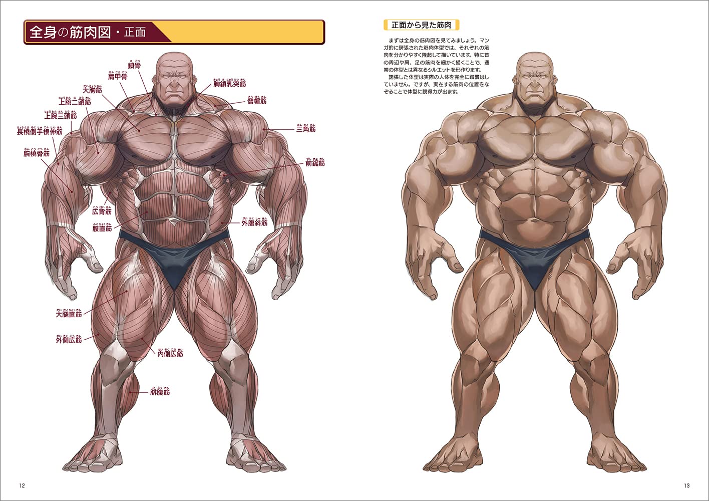 How To Draw Strong Muscles
