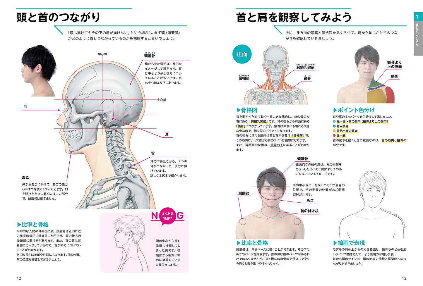 How To Draw the Neck, Shoulders, and Arms