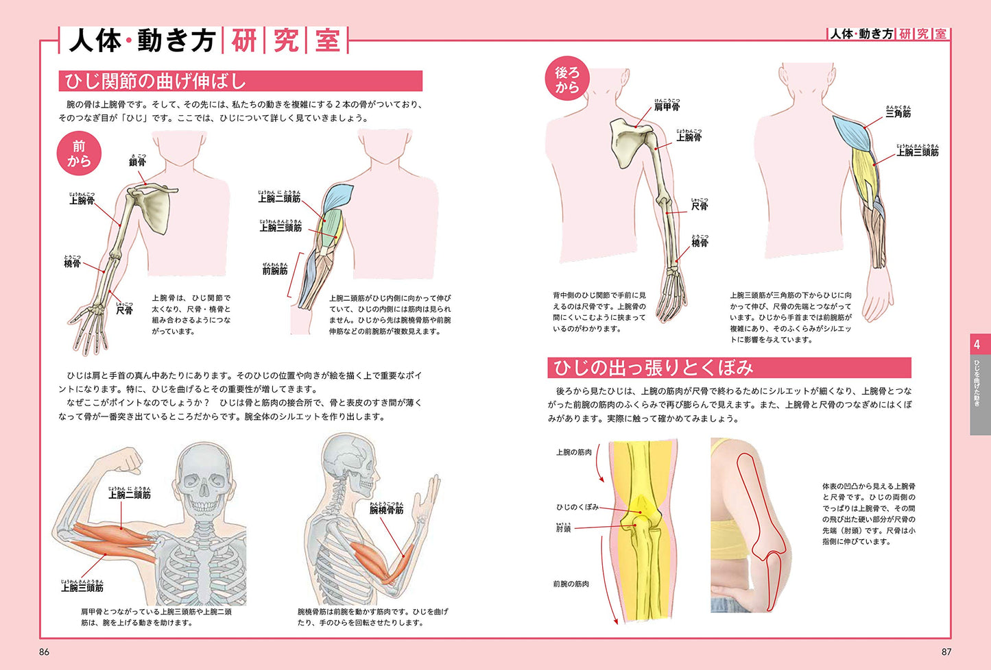 How To Draw the Neck, Shoulders, and Arms