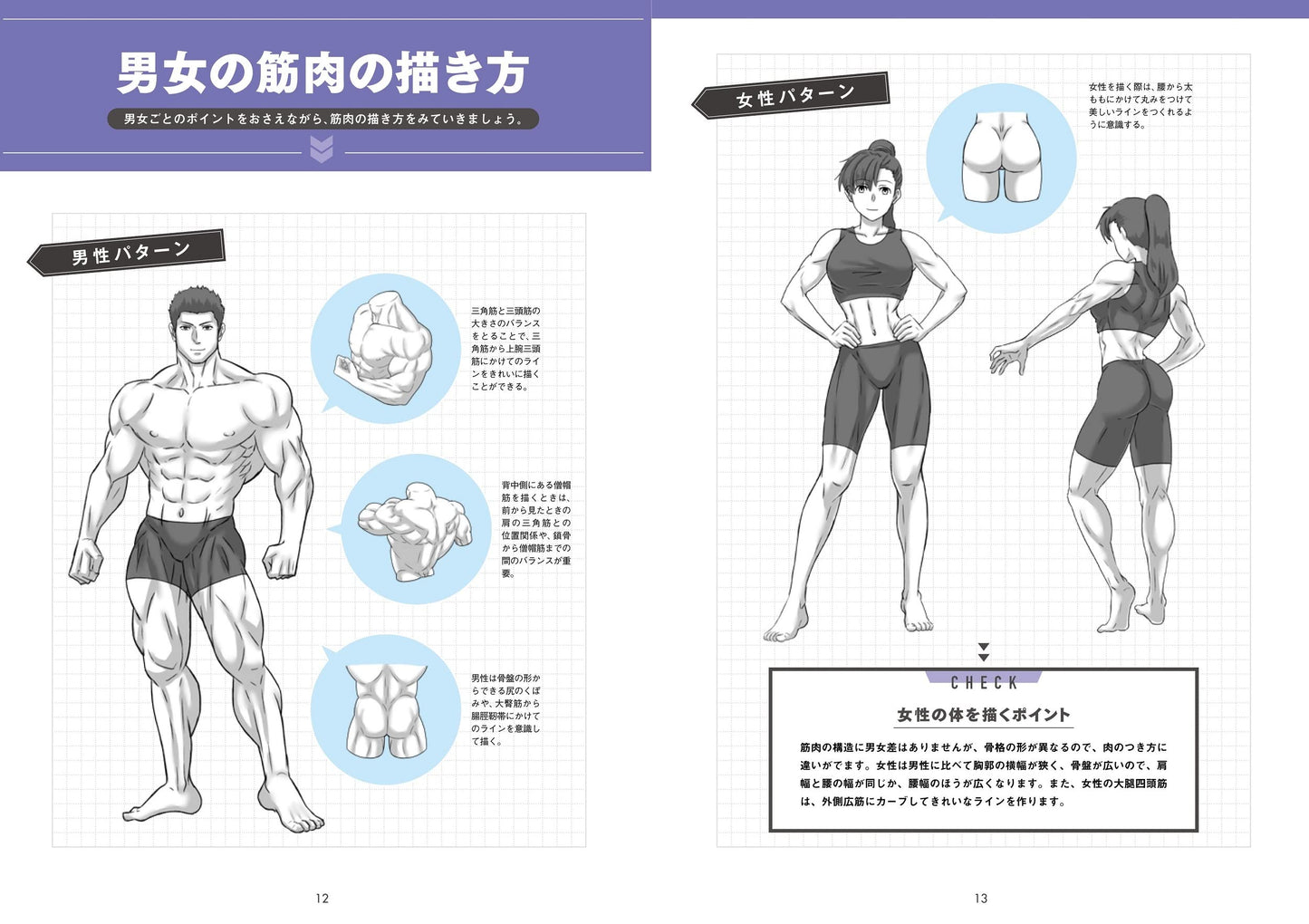 Draw muscles! Understand structure by body part