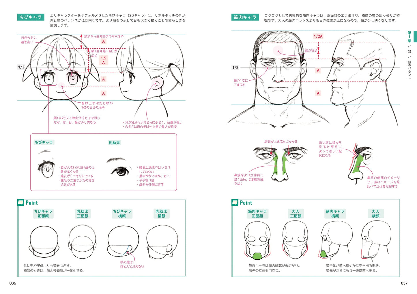 How to Draw the Body & Anatomy Encyclopedia