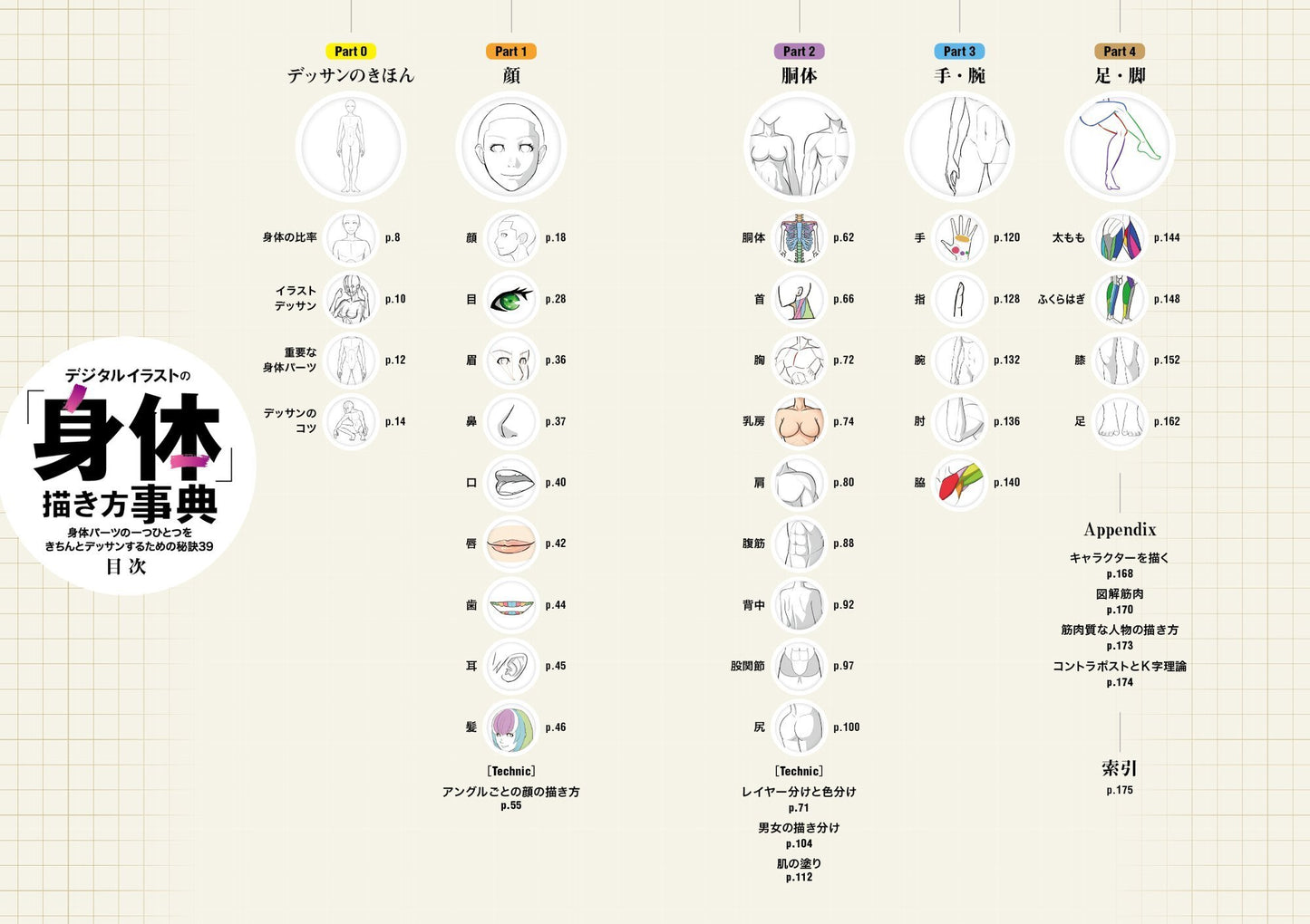 Digital Illustration "Body" Drawing Encyclopedia