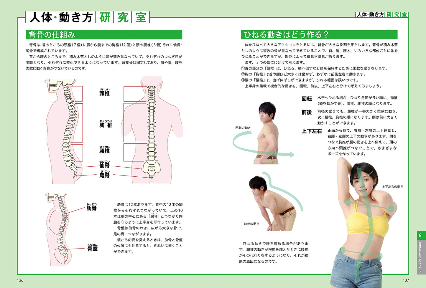 How To Draw the Neck, Shoulders, and Arms