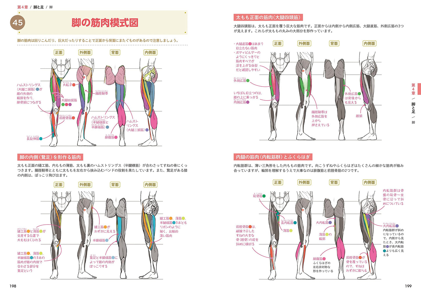 How to Draw the Body & Anatomy Encyclopedia
