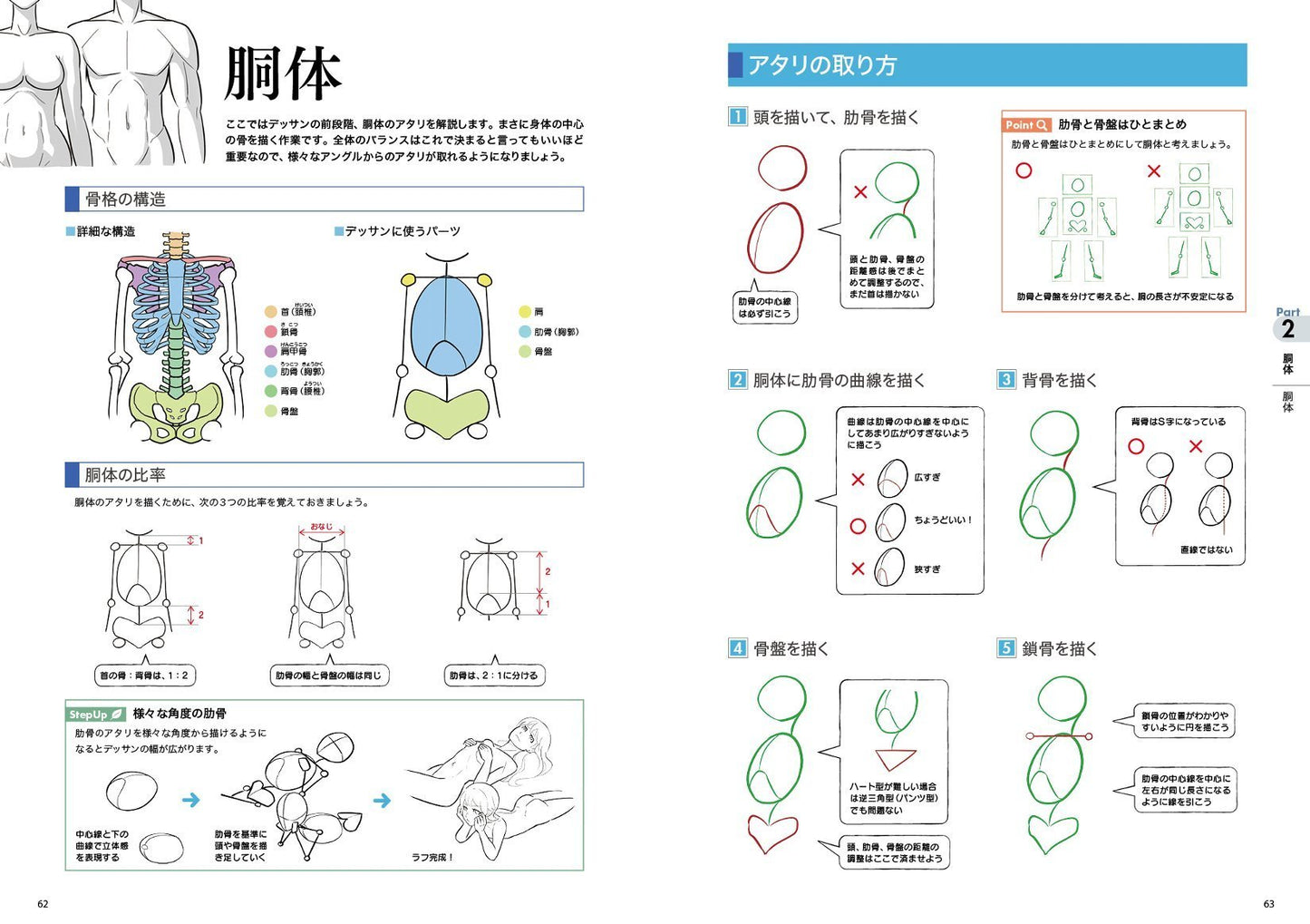 Digital Illustration "Body" Drawing Encyclopedia