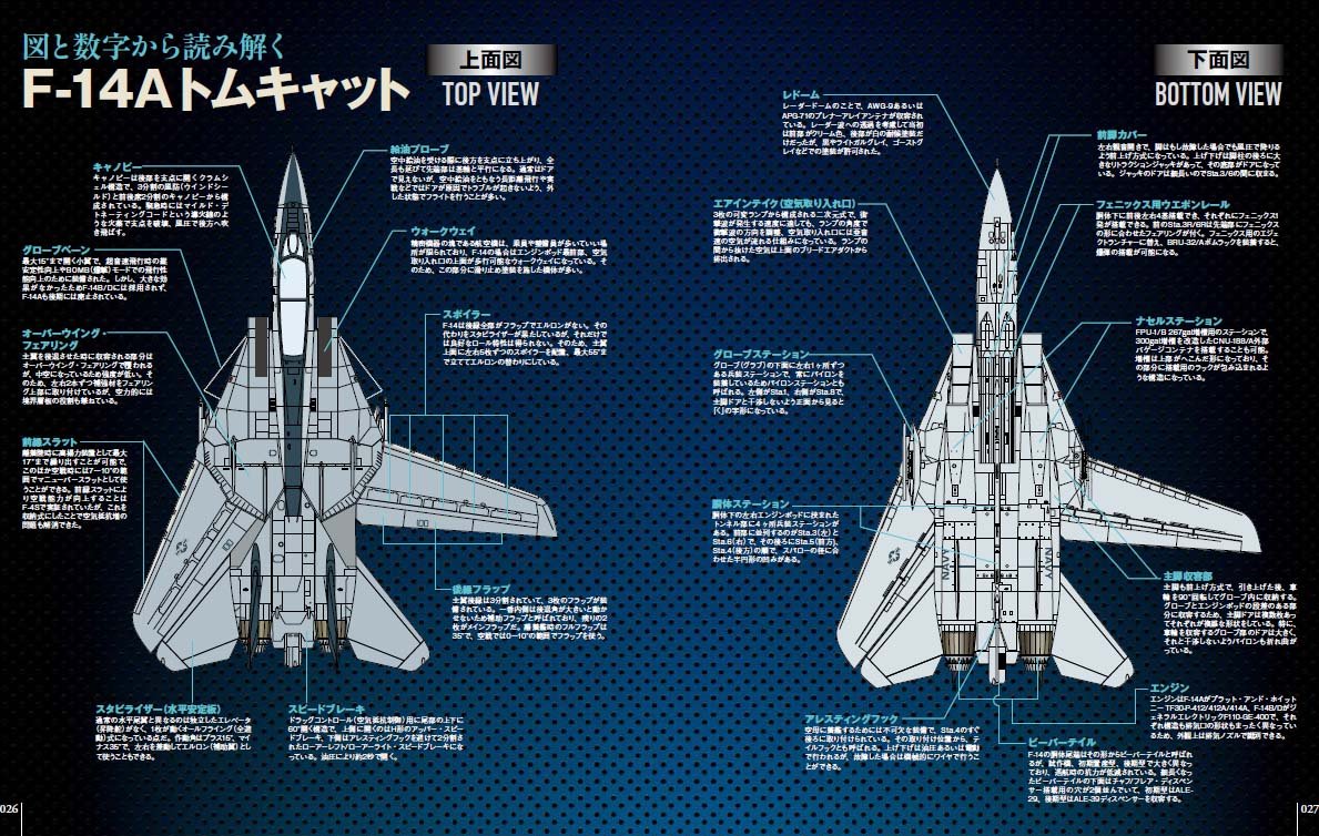 F-14 TOMCAT Military Aircraft of the World