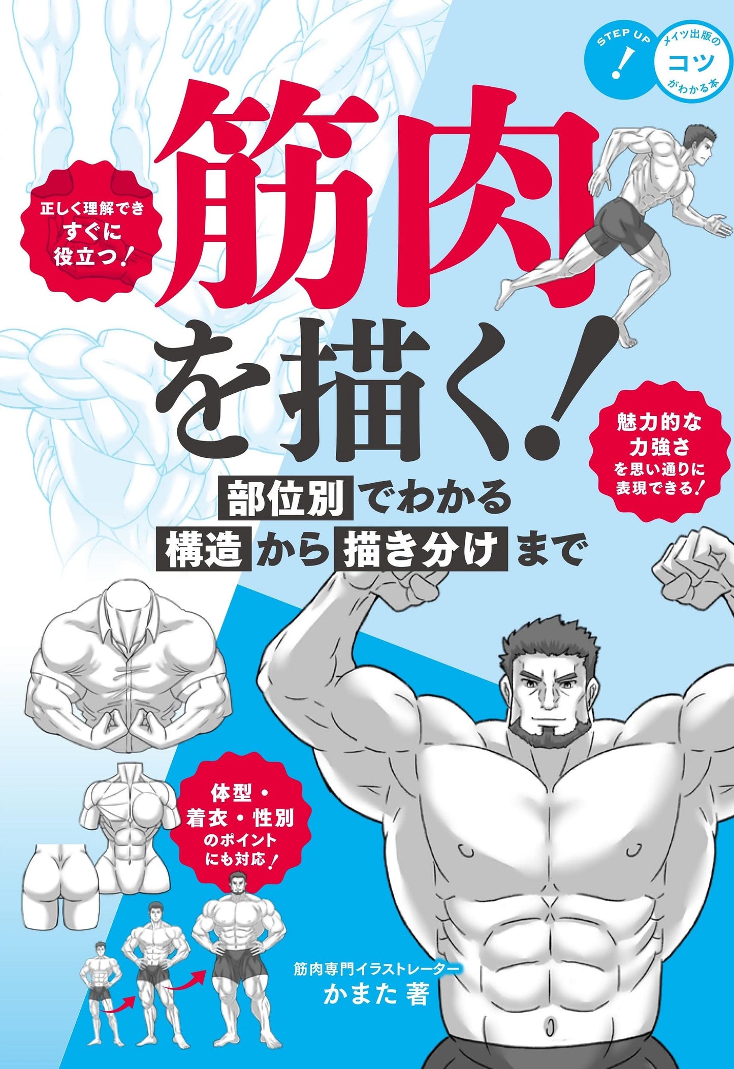 Draw muscles! Understand structure by body part
