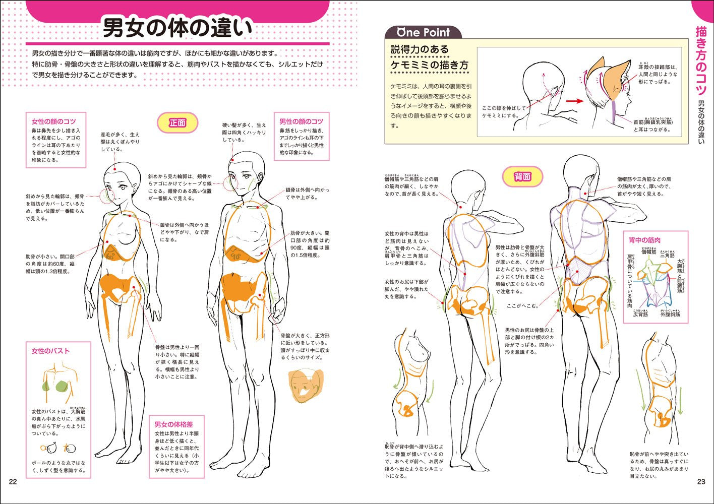 How To Draw Kemomimi