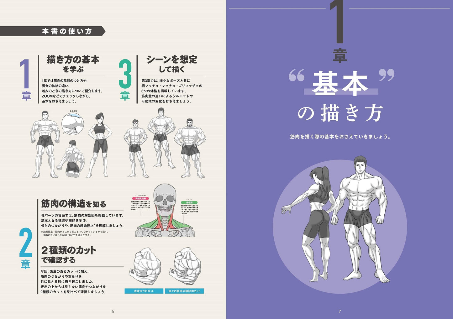 Draw muscles! Understand structure by body part