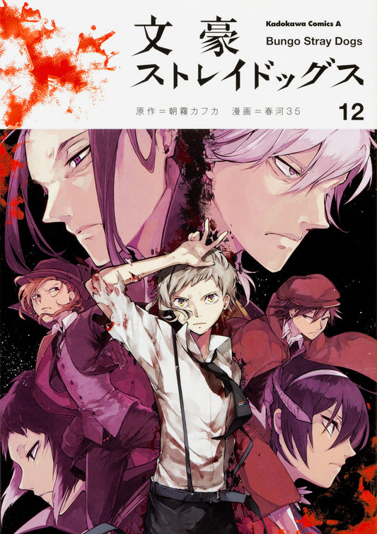 Bungo Stray Dogs #12  / Comic