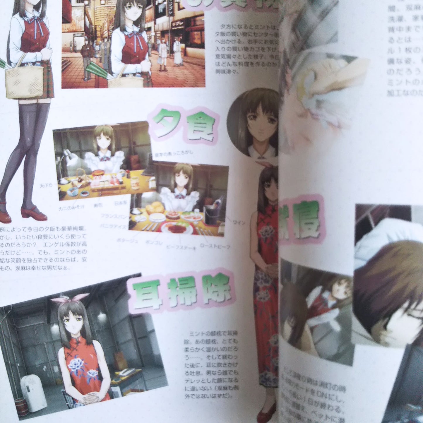 Tantei Shinshi Dash! Official Strategy Guide