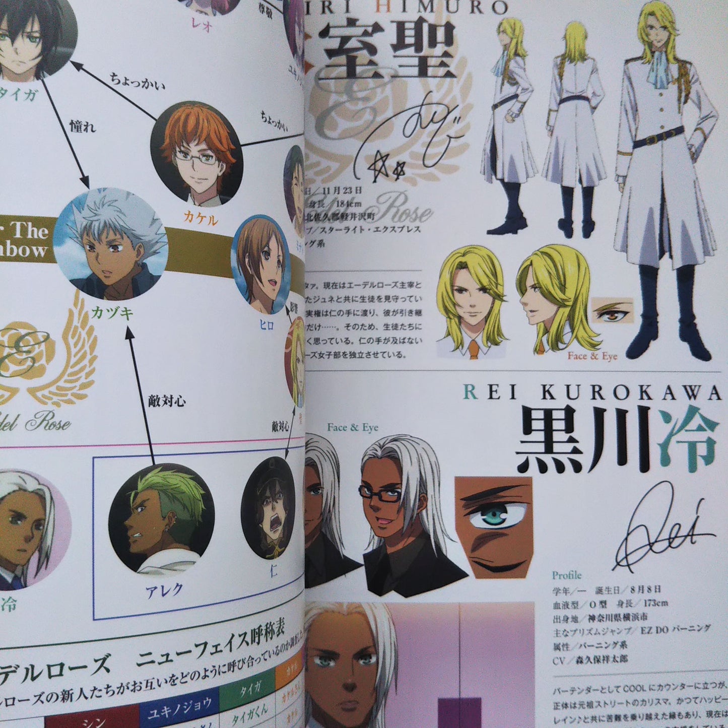 King of Prism by Pretty Rhythm Official Setting Material Collection