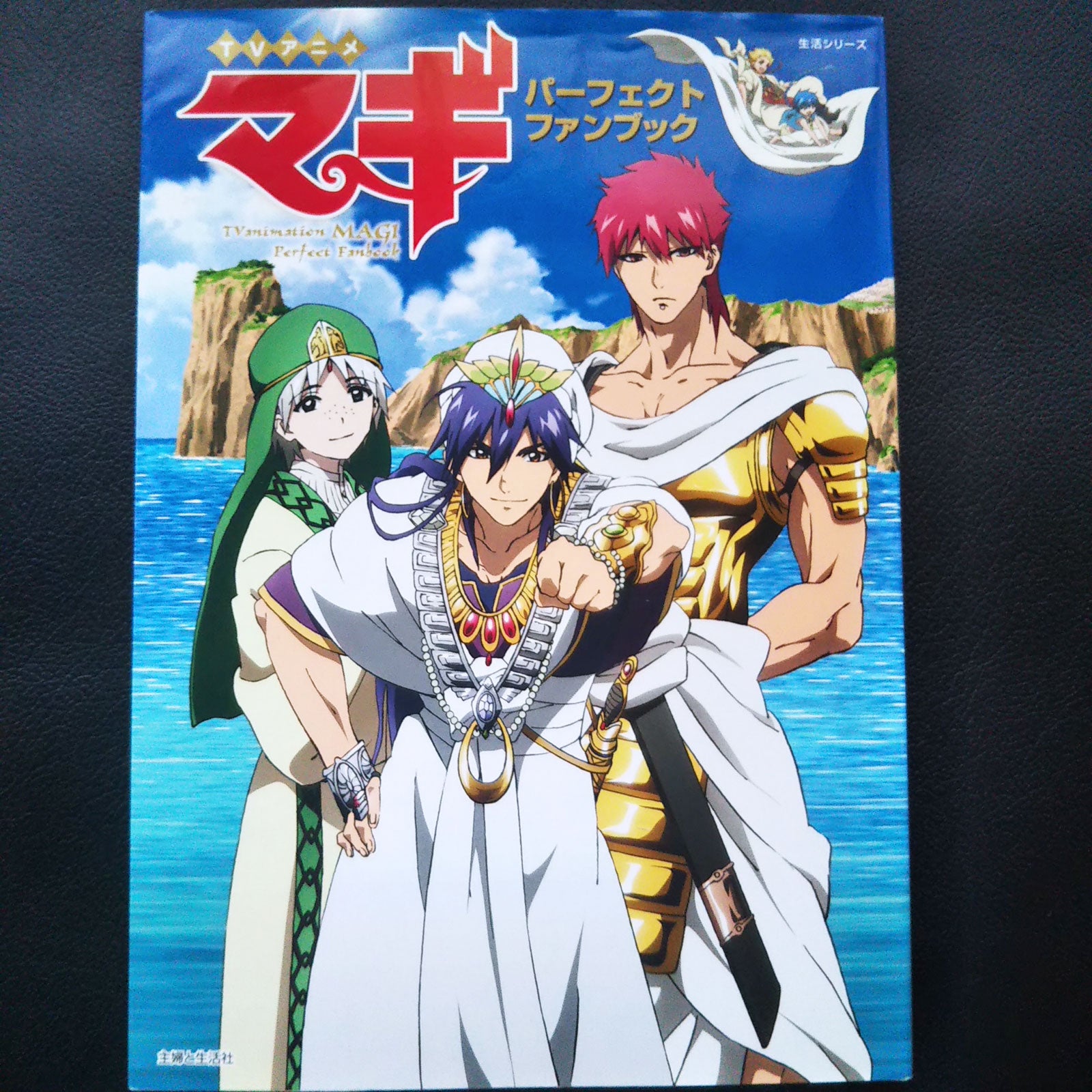 TV Animation Magi The Labyrinth of Magic Perfect Fan Book – MOYASHI JAPAN  BOOKS