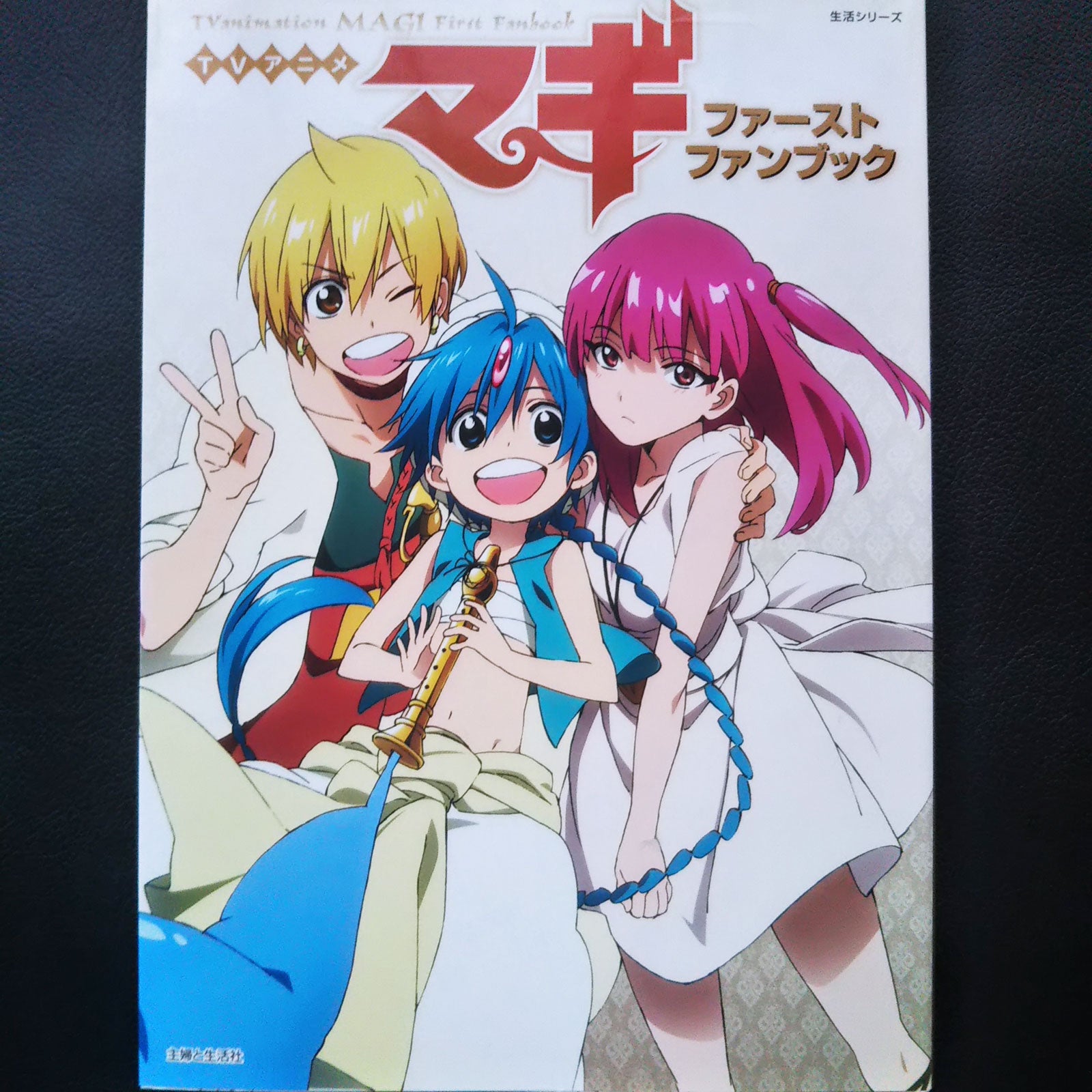 TV Animation Magi The Labyrinth of Magic 1st Fan Book – MOYASHI JAPAN BOOKS