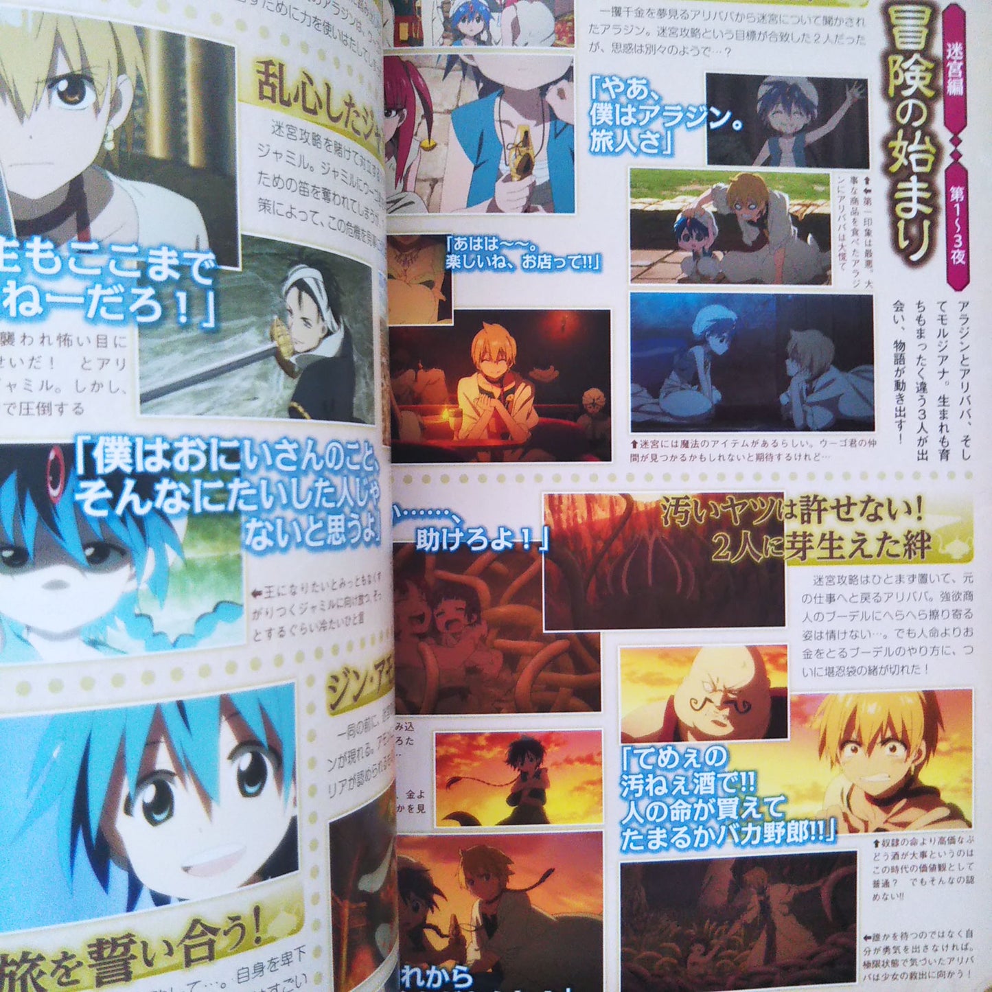 TV Animation Magi The Labyrinth of Magic 1st Fan Book
