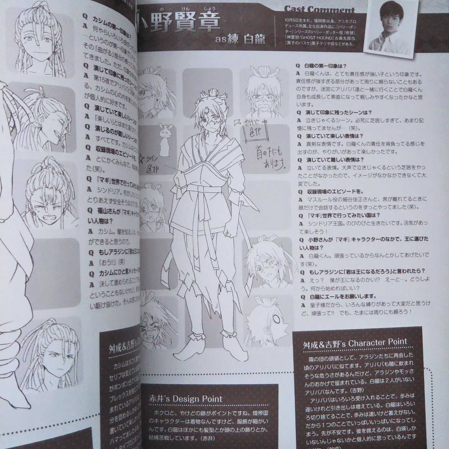 TV Animation Magi The Labyrinth of Magic 1st Fan Book