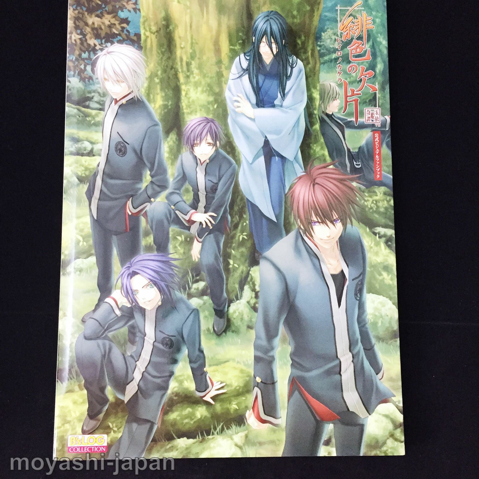 Hiiro no Kakera Official Visual Fan Book – MOYASHI JAPAN BOOKS