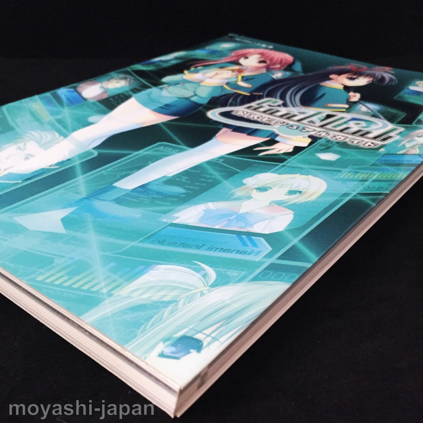 Soul Link Official Visual Guide Book