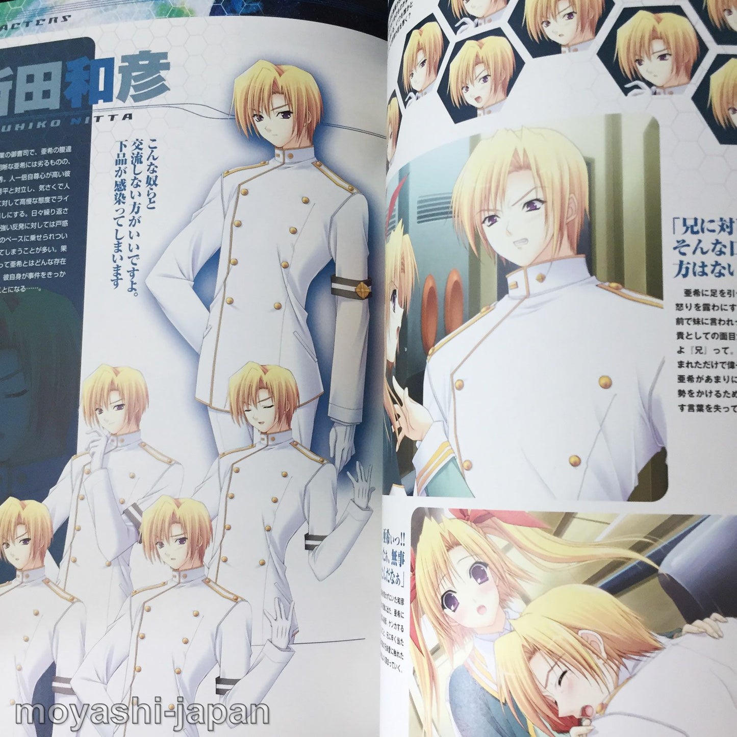 Soul Link Official Visual Guide Book
