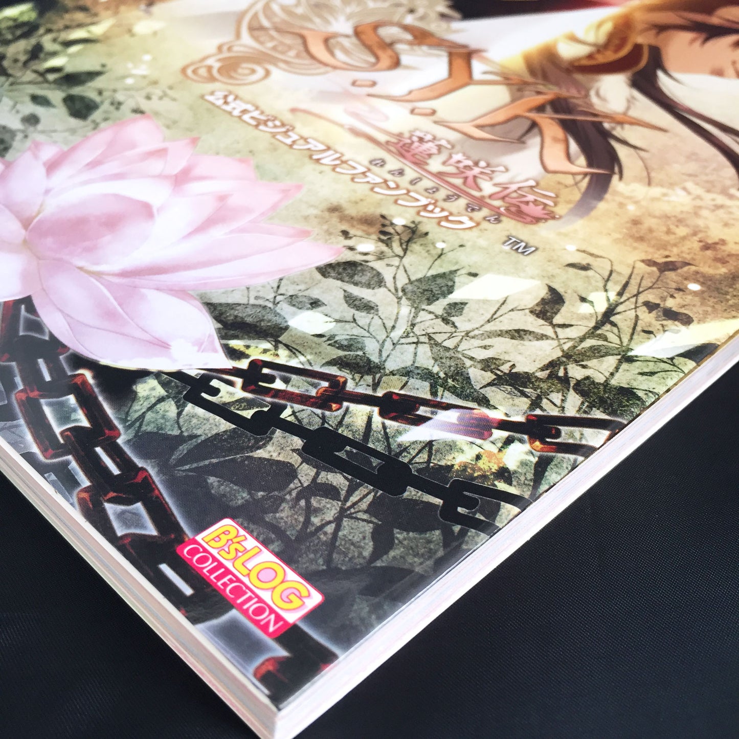 S.Y.K Renshoden Official Visual Fan Book