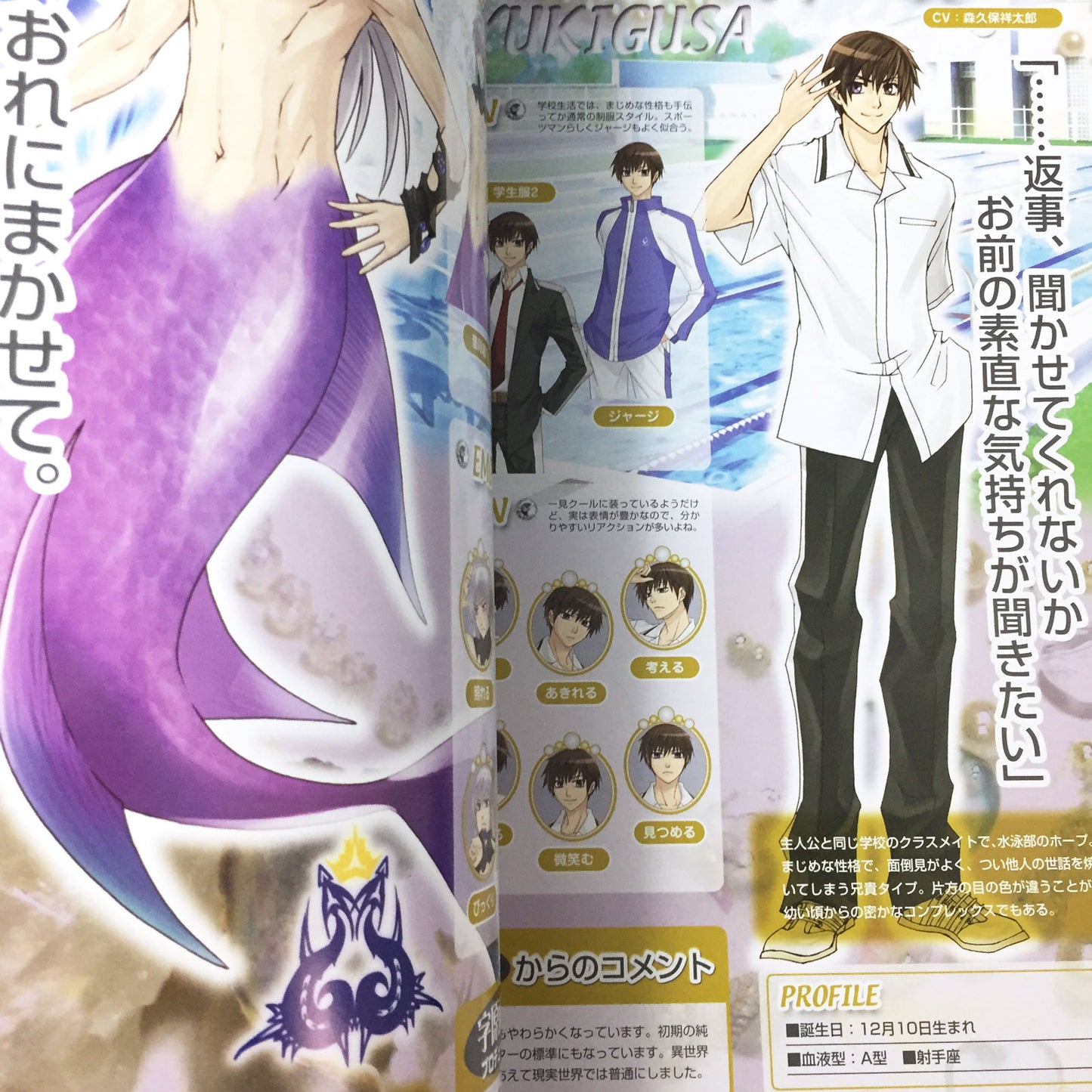 Mermaid Prism Official Visual Fan Book