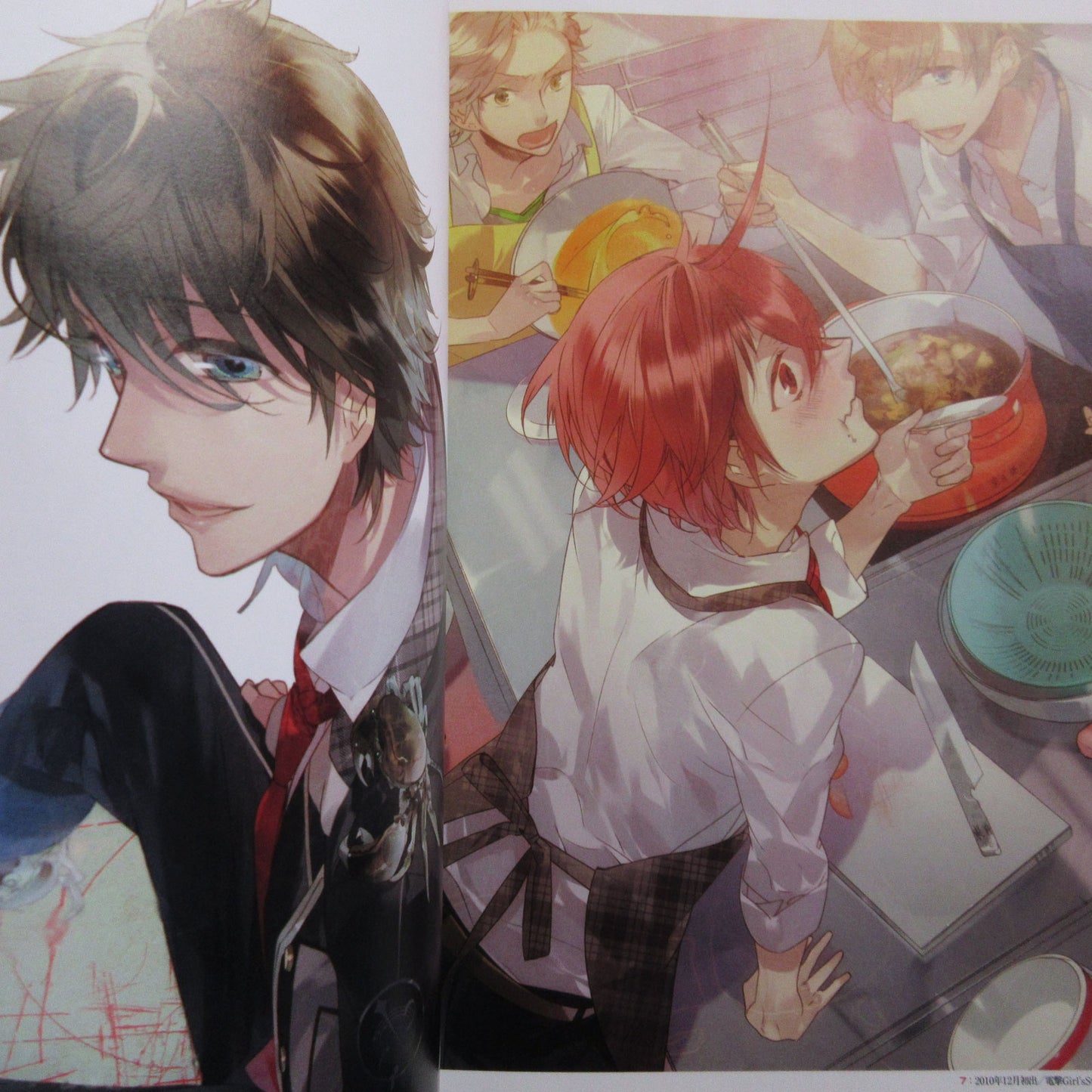 Starry Sky Official Guide Book Complete Edition Spring Sories Animate Limited Cover