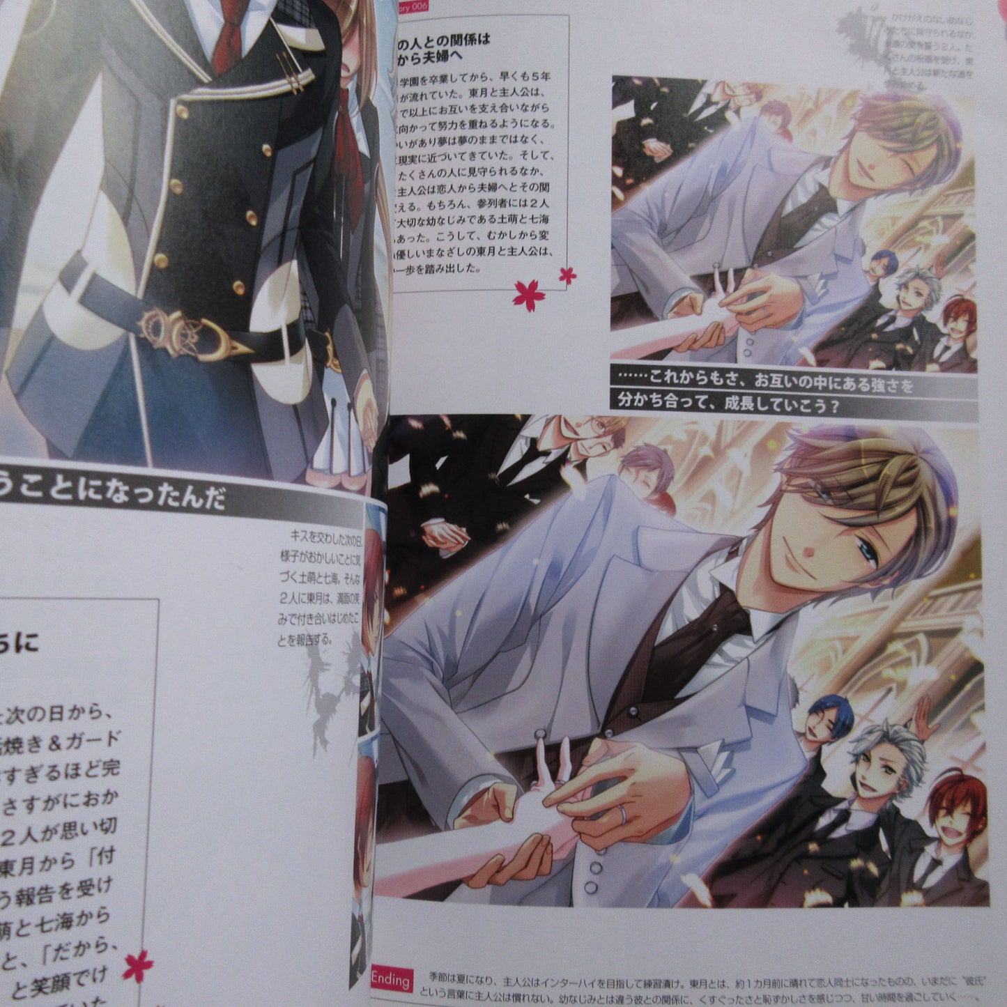 Starry Sky Official Guide Book Complete Edition Spring Sories Animate Limited Cover