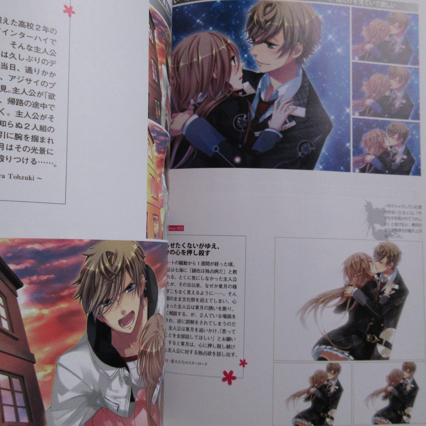 Starry Sky Official Guide Book Complete Edition Spring Sories Animate Limited Cover