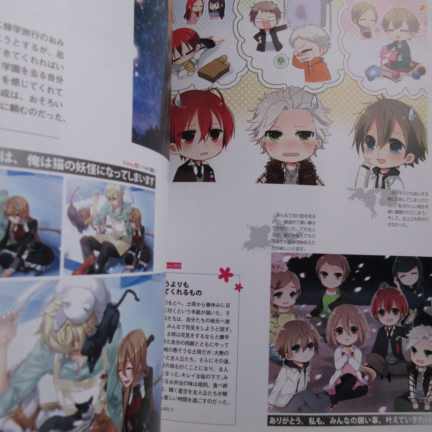Starry Sky Official Guide Book Complete Edition Spring Sories Animate Limited Cover