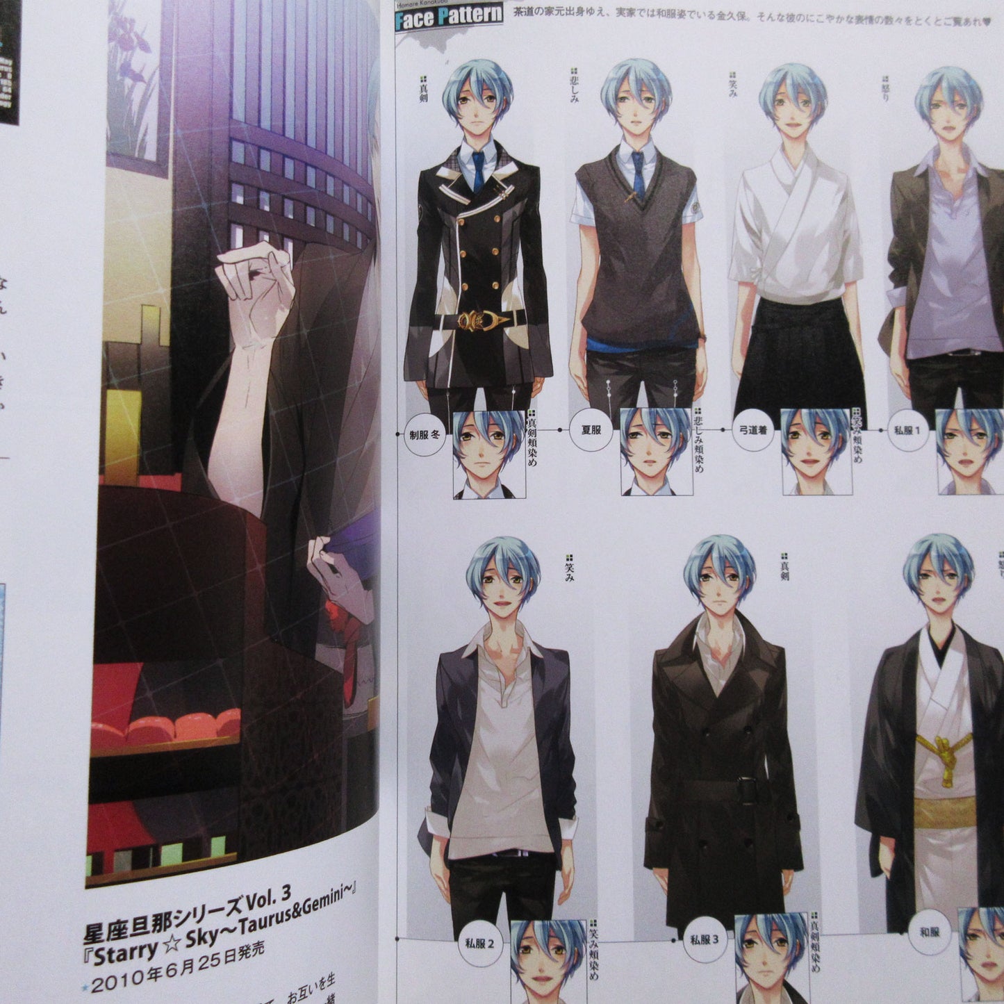 Starry Sky Official Guide Complete Edition Summer Sories Animate Limited Cover