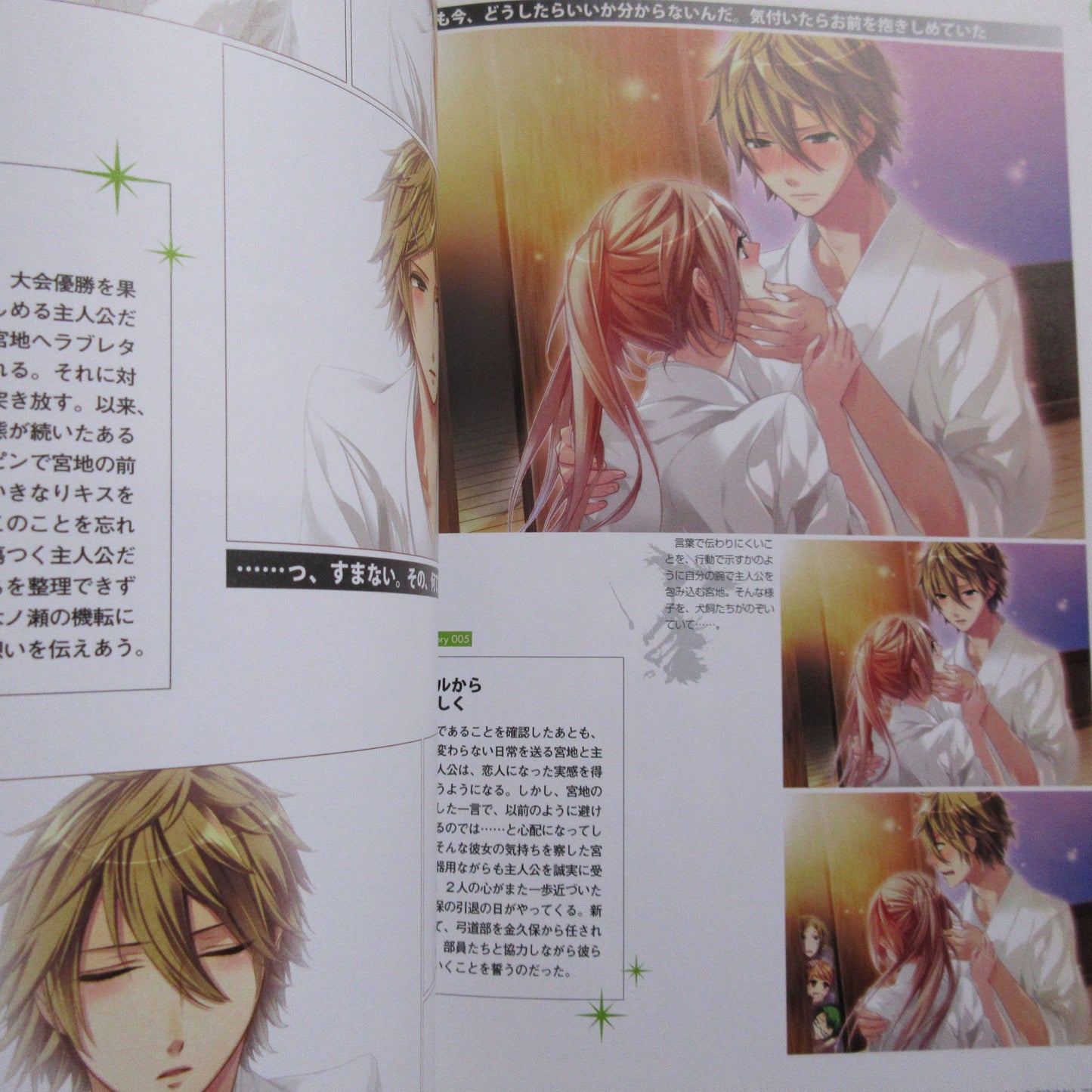 Starry Sky Official Guide Complete Edition Summer Sories Animate Limited Cover