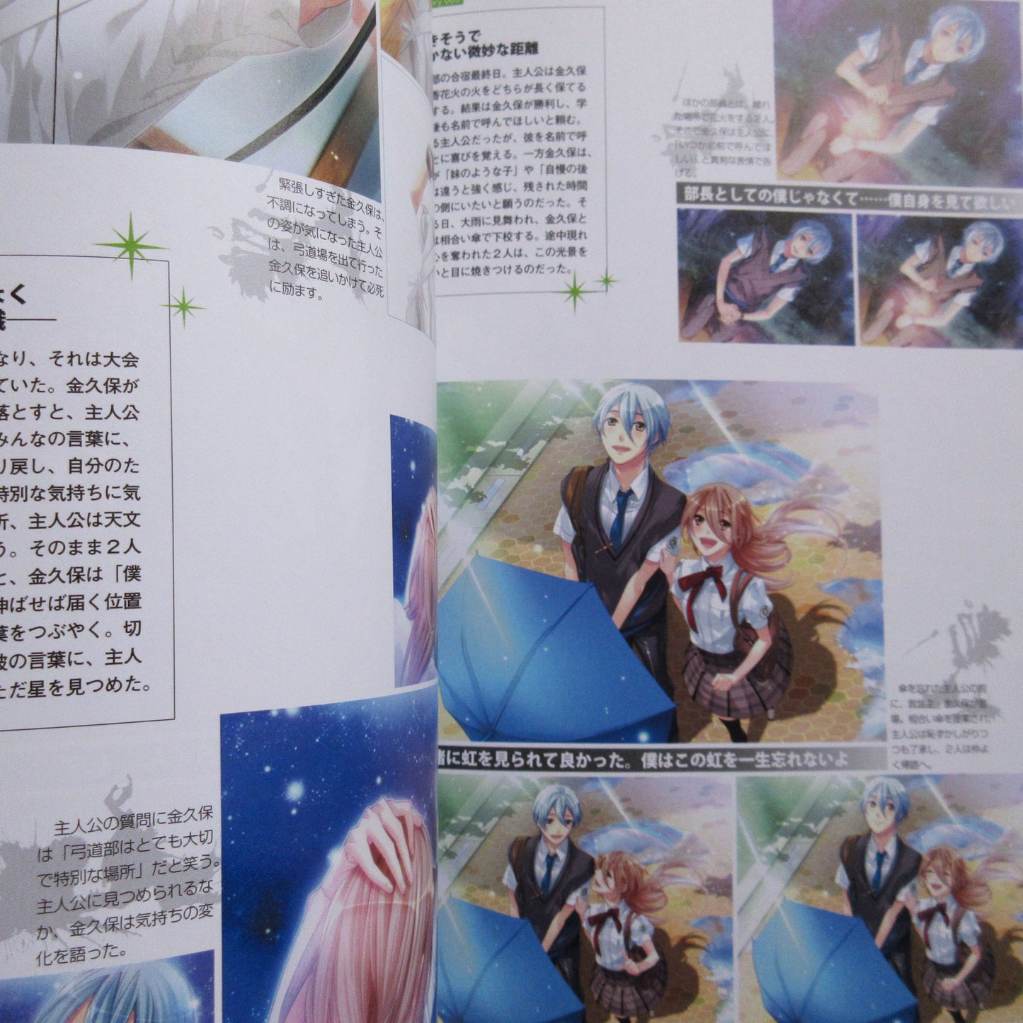 Starry Sky Official Guide Complete Edition Summer Sories Animate Limited Cover