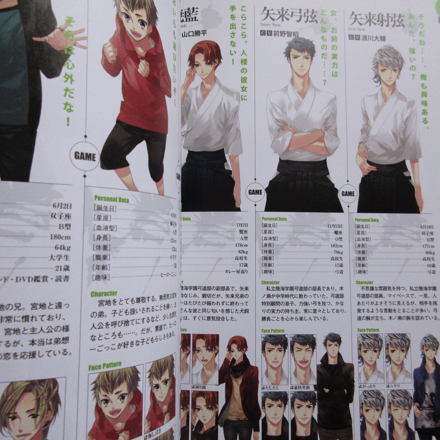 Starry Sky Official Guide Complete Edition Summer Sories Animate Limited Cover
