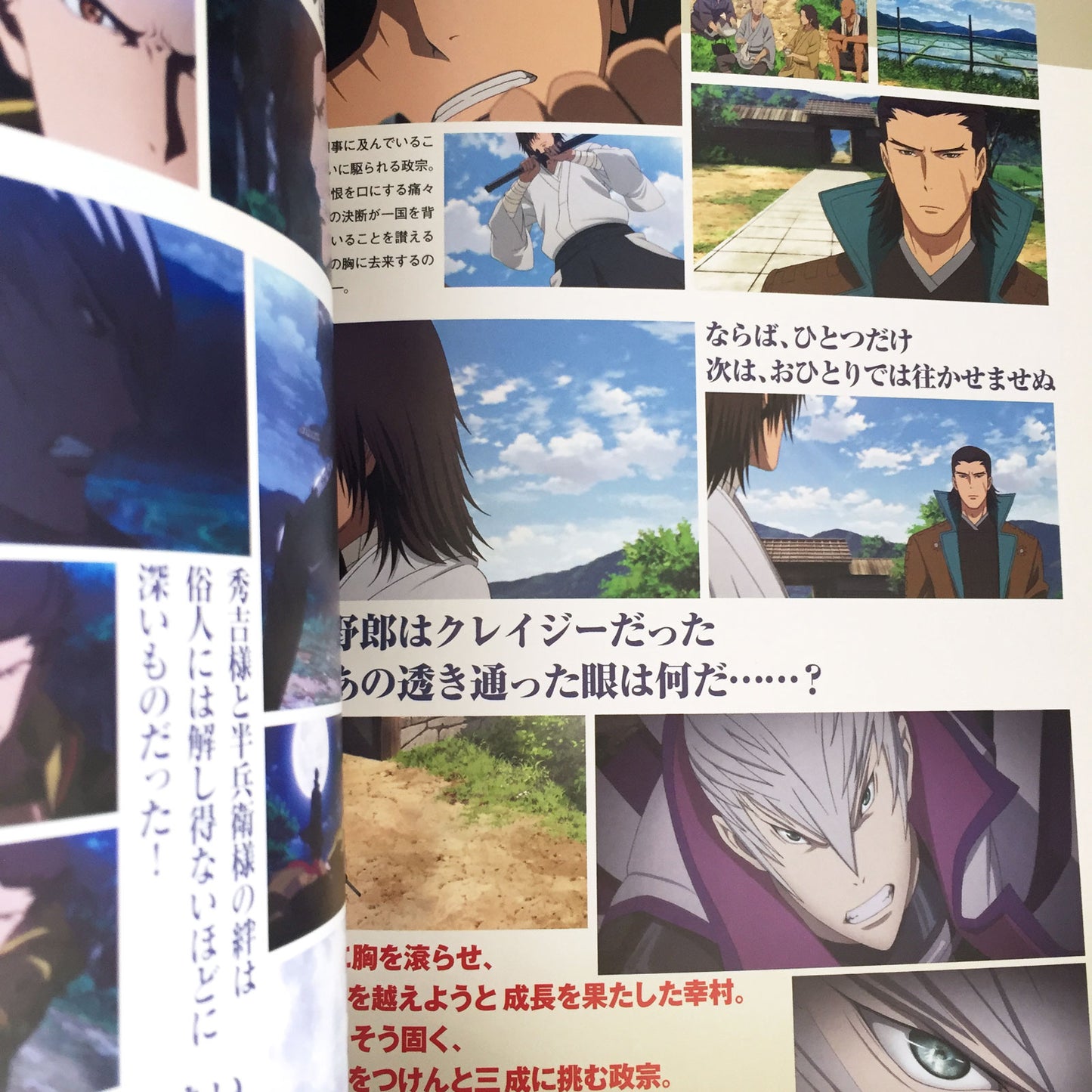 Sengoku BASARA The Movie The Last Party Official Complete Book