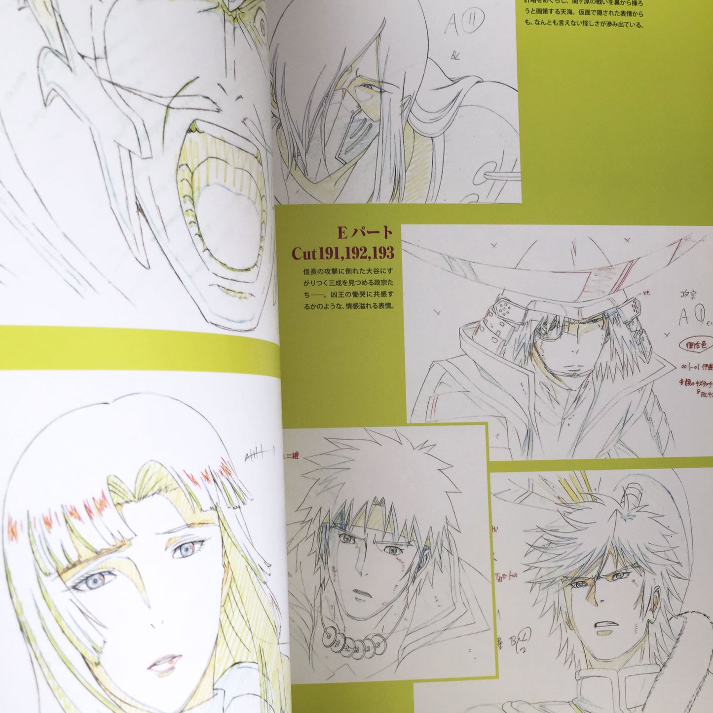 Sengoku BASARA The Movie The Last Party Official Complete Book