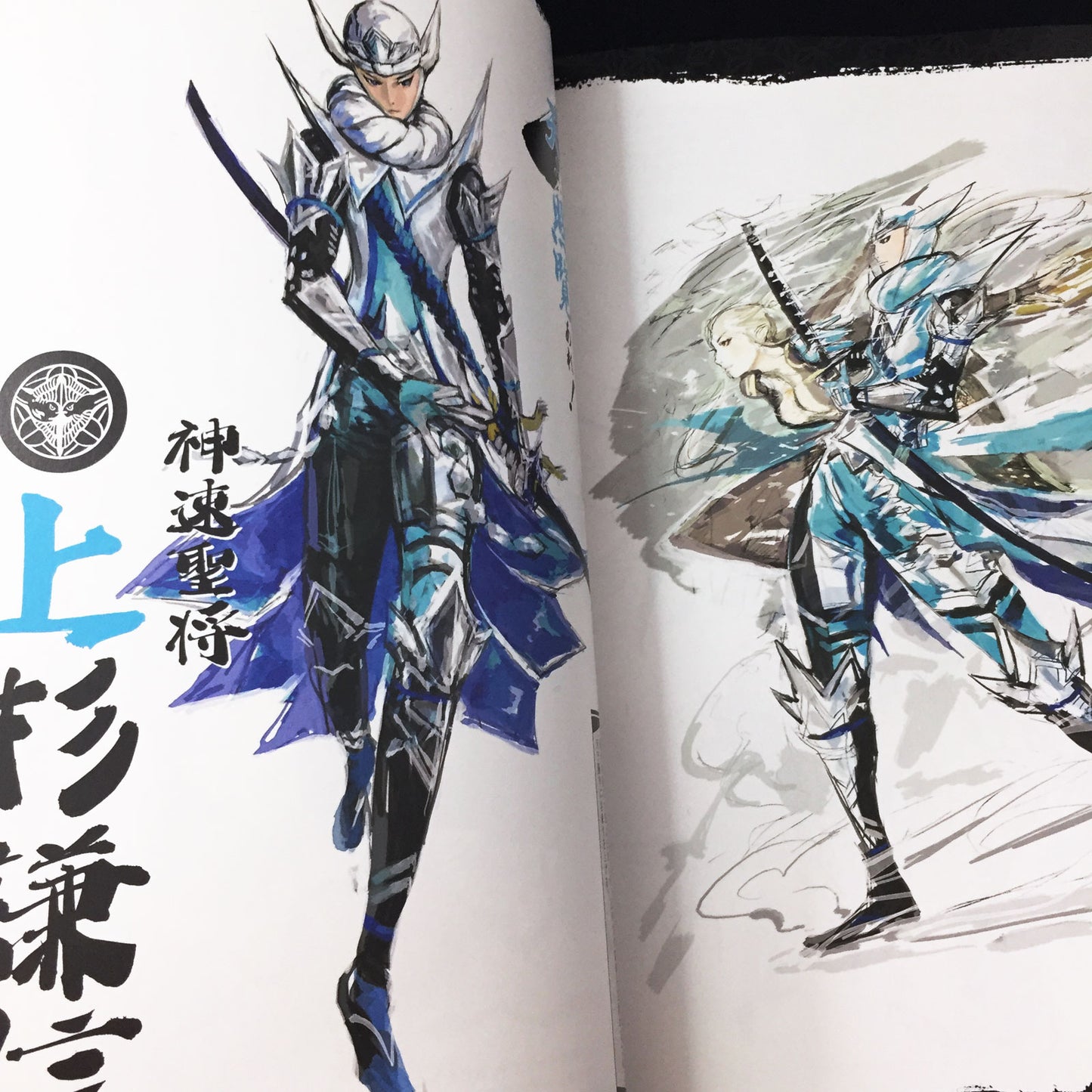 Sengoku BASARA Official Complete Works