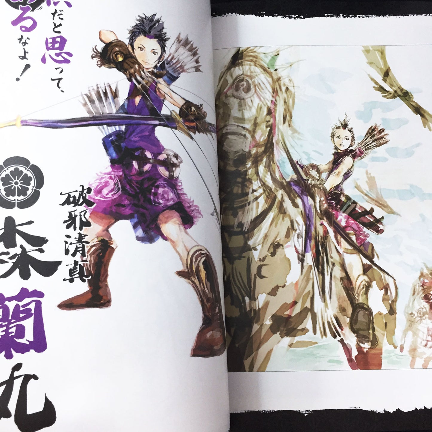 Sengoku BASARA Official Complete Works