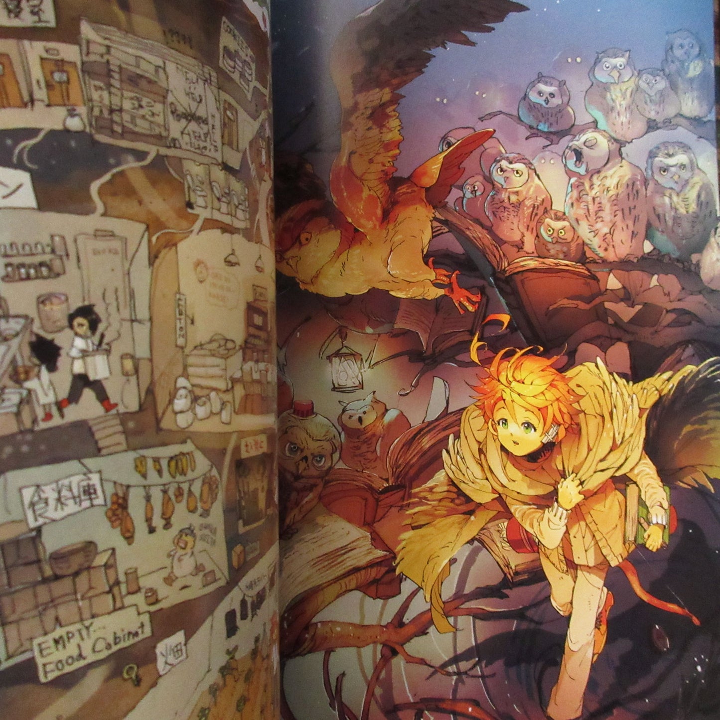 THE PROMISED NEVERLAND ART BOOK WORLD
